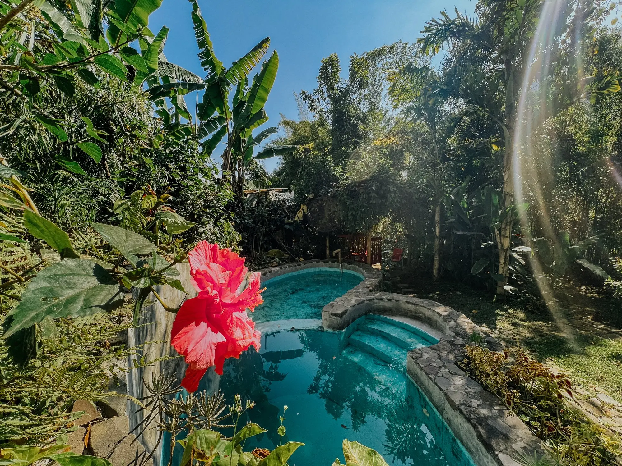Pool surrounded by tropical gardens